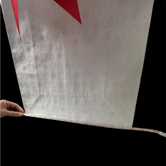 Elegant White UGG Logo SUN Gift Bag with Red Ribbon - Picture 4 of 4